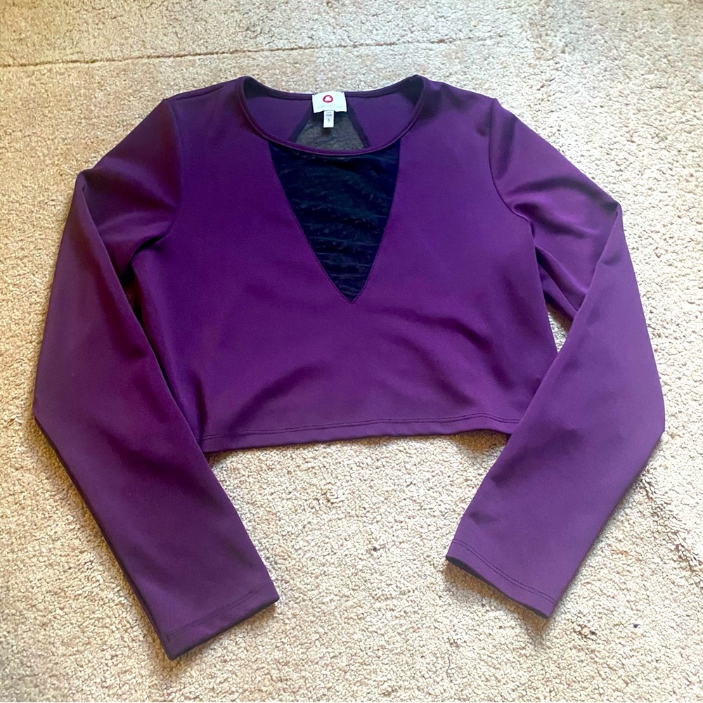 UO Purple Mesh Long sleeve Top